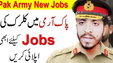 Pakistan Army ( Clerk BPS-13 ) Jobs 2024