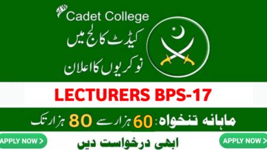 Cadet College ( Lecturers BPS-17 ) Jobs 2024