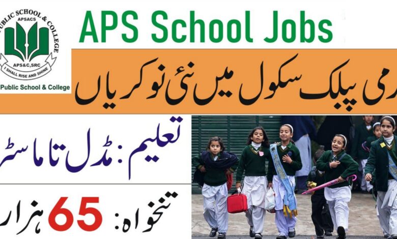 Army Public School ( Teachers BS-16 ) Jobs 2024