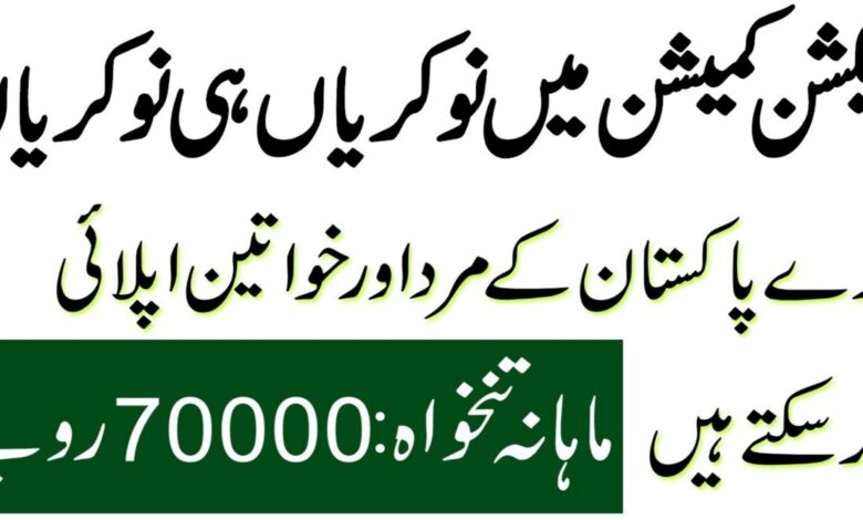 Election Commission of Pakistan ECP Islamabad Jobs 2024