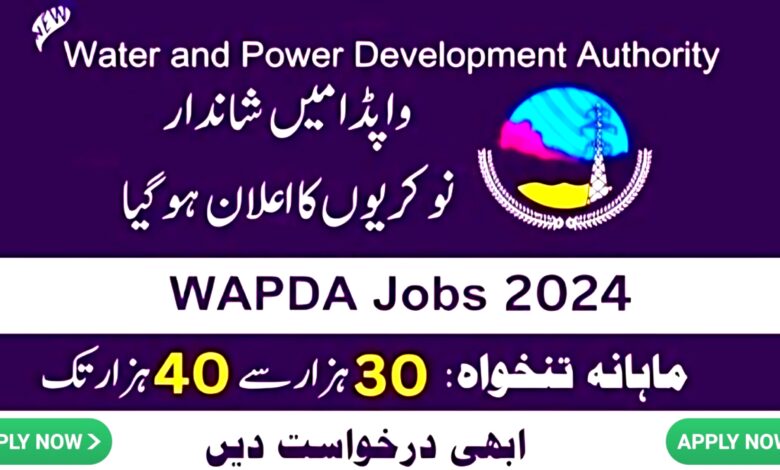 WAPDA Lahore ( BPS-06 To BPS-11 ) Jobs 2024