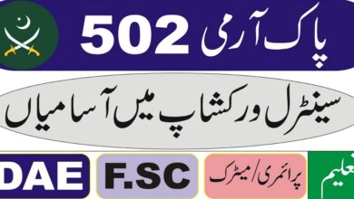 Pak Army 501 Central Workshop EME Rawalpindi Jobs 2024