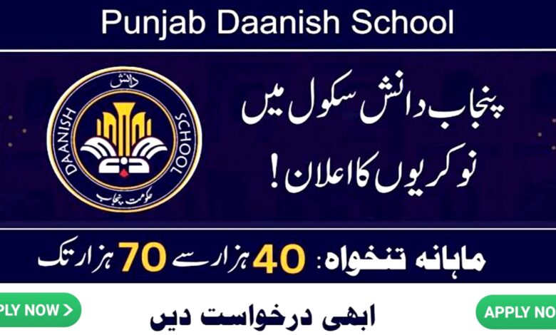 Punjab Daanish Schools for Boys & Girls Rahim Yar Khan Jobs 2024