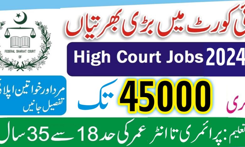 High Court ( BPS-04 To BPS-10 ) Jobs 2024