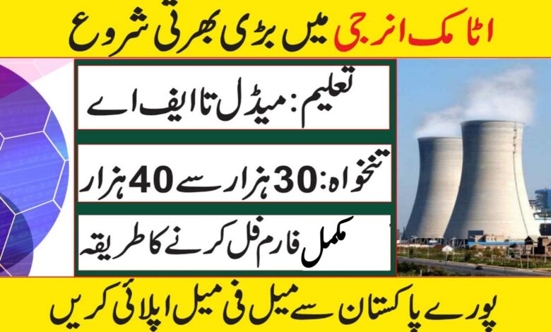 Pakistan Atomic Energy Dera Ghazi Khan Jobs 2024
