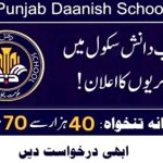 Punjab Daanish Schools & Center Of Excellence Authority Jobs 2024