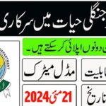 Punjab Wildlife & Parks Department Jobs 2024