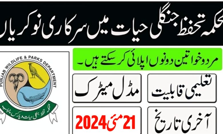 Punjab Wildlife & Parks Department Jobs 2024