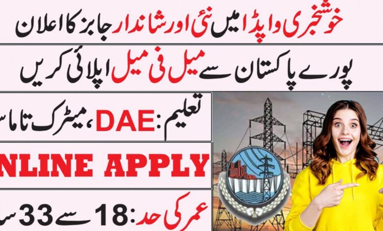 WAPDA Lahore Regular Basis ( BS-06 To BS-14 ) Jobs 2024