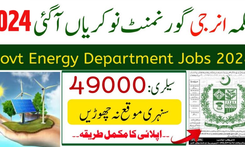 Energy Department Government Of Punjab Lahore Jobs 2024
