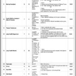 District Health Office Islamabad Jobs 2024