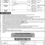 Ministry Of Energy Petroleum Division Islamabad Jobs 2024 