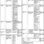 Population Welfare Department Lahore Jobs 2024 