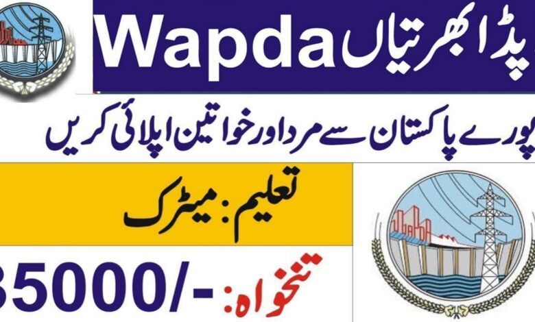 WAPDA Lahore ( Matric Pass ) Jobs 2024