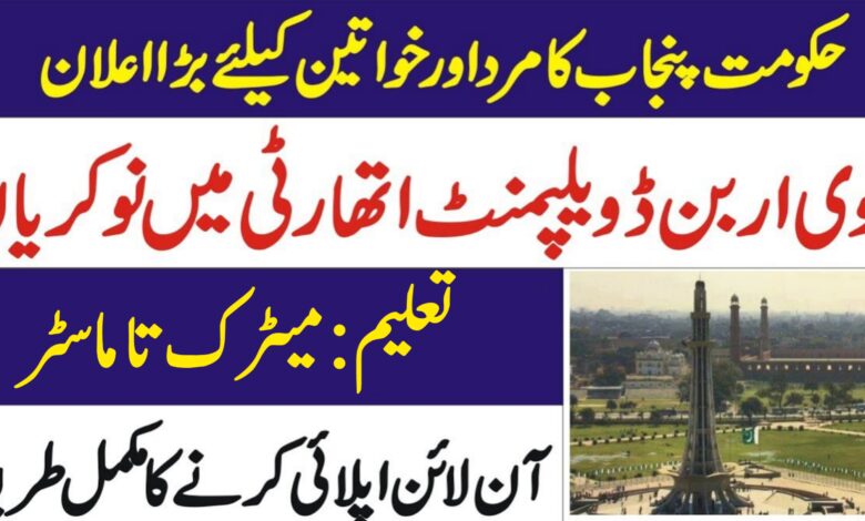 RUDA Lahore Jobs 2024
