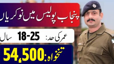 Punjab Police ( BS-11 ) Jobs 2024