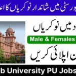 University Of The Punjab PU Lahore Latest Jobs 2024