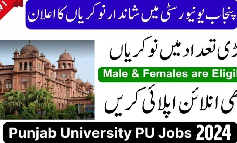 University Of The Punjab PU Lahore Latest Jobs 2024