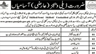 Punjab Rural Municipal Services Company Lahore Jobs 2024