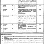 Punjab Primary & Secondary Healthcare Department Lahore Jobs 2024