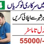 The Punjab Healthcare Commission Lahore Jobs 2024