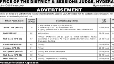 District & Session Court Hyderabad Jobs 2024