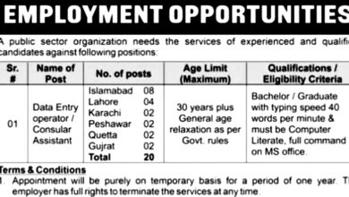 Public Sector Organization Islamabad Employement Opportunities 2024