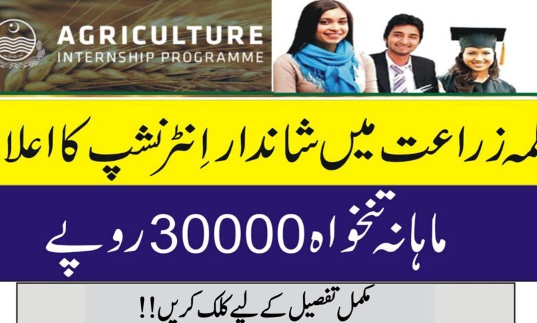 Punjab Agriculture Department Lahore Latest Internship Program 2024