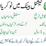 National Bank of Pakistan ( Teller OG-III ) Jobs 2024