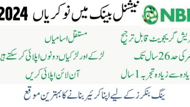 National Bank of Pakistan ( Teller OG-III ) Jobs 2024