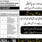 Ministry Of Overseas Pakistanis & HRD Islamabad Jobs 2024