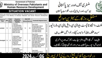 Ministry Of Overseas Pakistanis & HRD Islamabad Jobs 2024