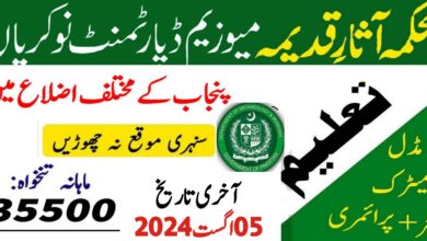 Department of Archaeology & Museums Lahore Jobs 2024
