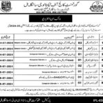 Government College Of Technology Nankana Sahib Jobs 2024