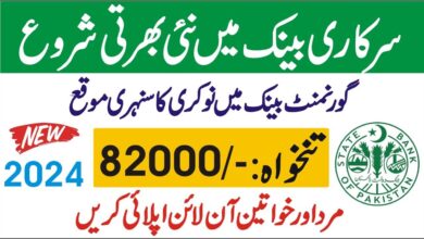 State Bank Of Pakistan SBP Jobs July 2024