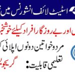 State Life Insurance Corporation Of Pakistan Jobs July 2024