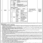 QESCO Wapda Jobs 2024