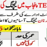 TEVTA Shujabad ( Visiting Teacher ) Jobs 2024