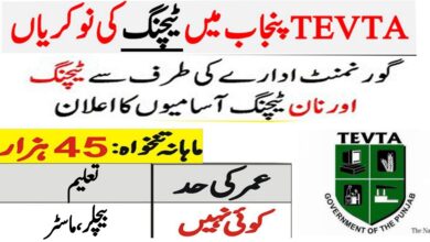 TEVTA Shujabad ( Visiting Teacher ) Jobs 2024