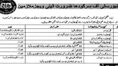 University Of Sargodha ( Non Teaching Staff ) Jobs 2024