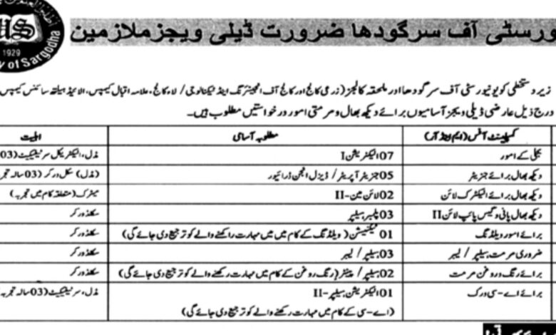 University Of Sargodha ( Non Teaching Staff ) Jobs 2024