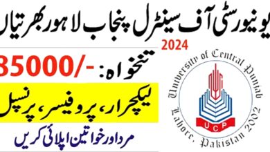 University of Central Punjab Lahore Jobs 2024