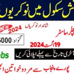 Punjab Daanish Schools Jobs 2024