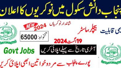 Punjab Daanish Schools Jobs 2024