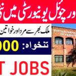 Virtual University of Pakistan Islamabad Jobs 2024