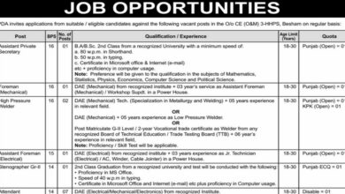 Wapda ( Regular Basis ) Job Opportunities 2024