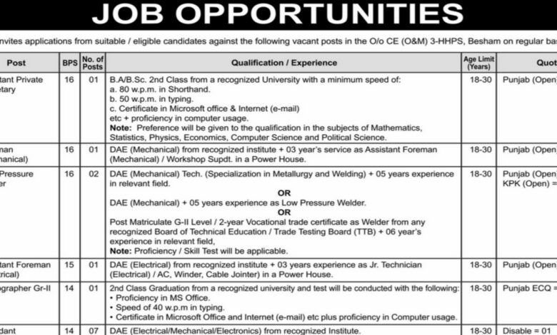 Wapda ( Regular Basis ) Job Opportunities 2024