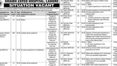 Shaikh Zayed Hospital Lahore Career Opportunities 2024