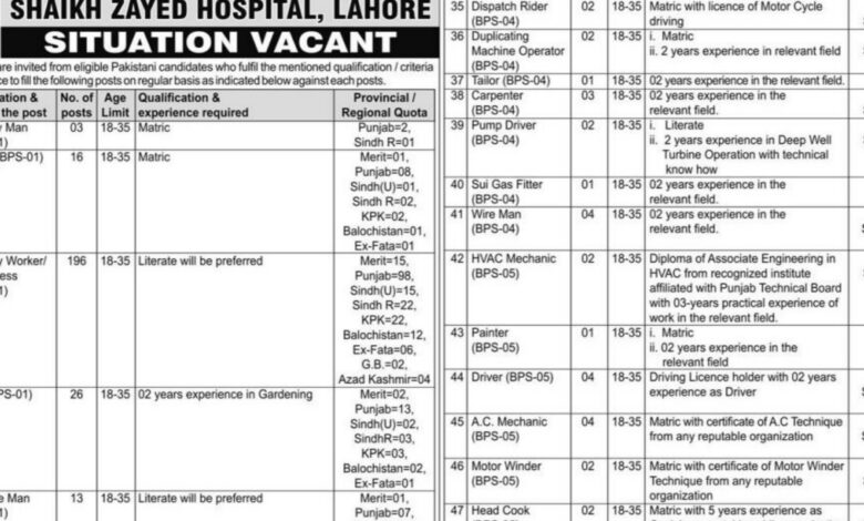 Shaikh Zayed Hospital Lahore Career Opportunities 2024