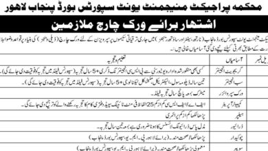 Sports Board Punjab ( Daily Wages Basis ) Jobs 2024